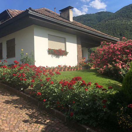 Weingut Zundlhof Villa Bolzano Eksteriør billede