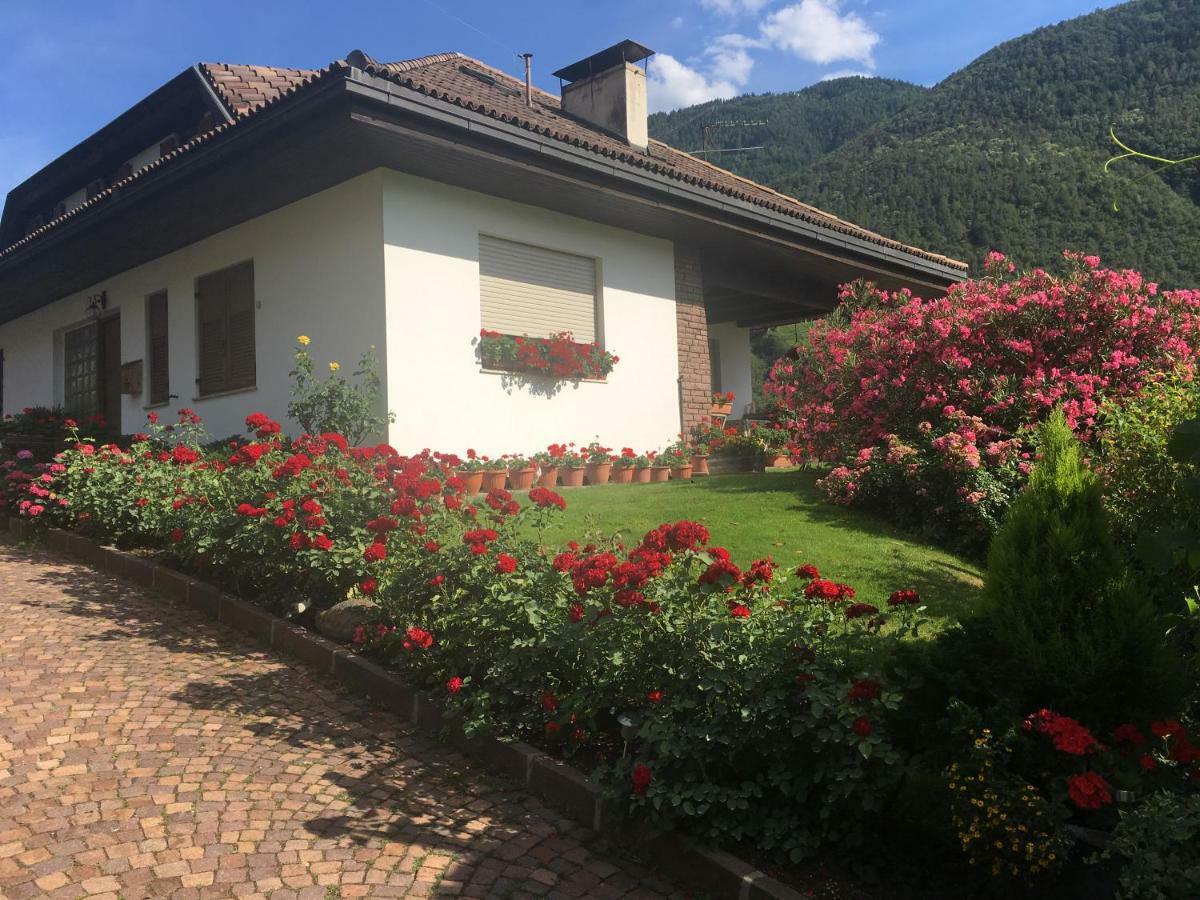 Weingut Zundlhof Villa Bolzano Eksteriør billede